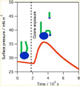 ozon and neutrons