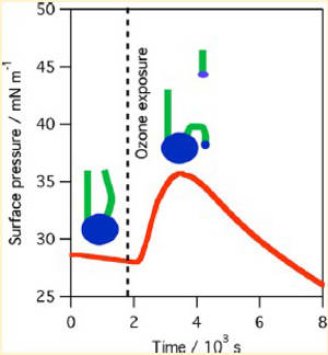 ozon and neutrons