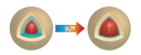 Magnetic nanoparticles change their magnetic structure in a magnetic field 