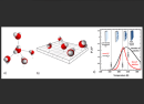  Competing coexisting phases in two-dimensional water