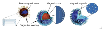 Magnetic Nanoparticles