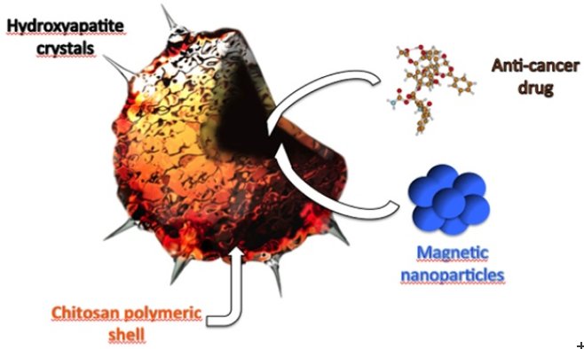 Bio-NCP scheme