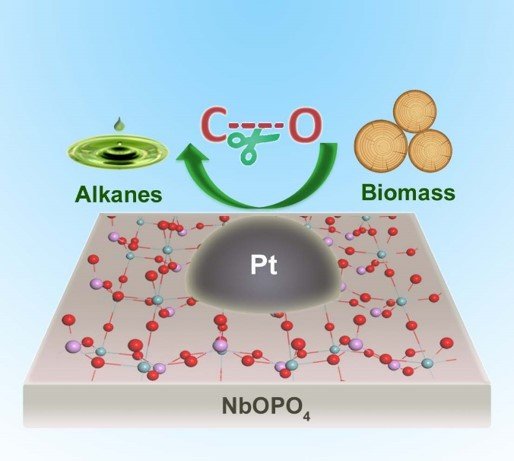 biofuel catalyst