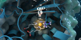 Chlorite Dismutase