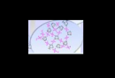 Vibrational density of states and elastic properties of cross-linked polymers: combining inelastic light and neutron scattering