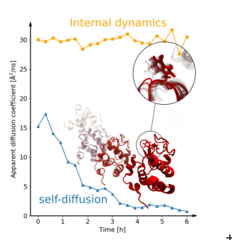 Following protein aggregation in real time by neutron spectroscopy. 