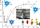 Catching a glimpse at enzymes on the job