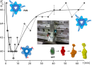 Catching a glimpse at enzymes on the job: a combined time-resolved neutron scattering and fluorescence study