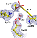 Neutrons reveal mechanism of bacterial antibiotic resistance