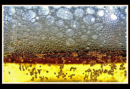 Precipitating Sodium Dodecyl Sulfate to Create Ultrastable and Stimulable Foams