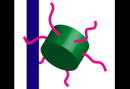 Effects of Hfq on the conformation and compaction of DNA