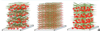 TEMPO-oxidized cellulose nanofibrils