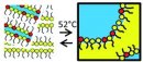 Quenched microemulsions: a new route to proton conductors