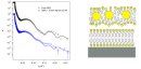 Neutrons reveal potential dangers of gold nanoparticles