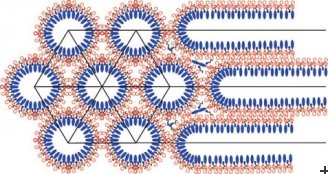 Ibuprofen lodging itself in lipid-layers