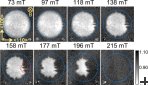 Domain expulsion in the IMS of superconducting Nb in increasing field after FC to 4 K observed by means of nGI