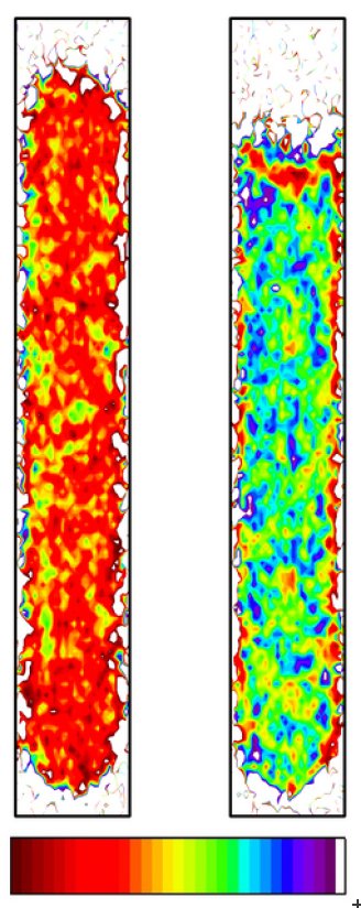 Spatial distribution of ice and water