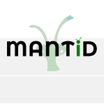 mantid