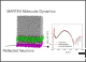 MARTINI Molecular Dynamics