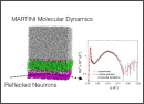 Improved Insight into the Structure of Lipid Membranes: Combining the Strengths of Neutron Reflectivity and Molecular Dynamics