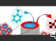 More room for microphase separation: An extended study on binary liquids confined in SBA-15 cylindrical pores