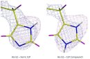 Neutron crystallography solves long-standing biological mystery