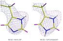 Neutron crystallography solves long-standing biological mystery