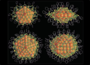 Detailed molecular structure of silver nanocrystals determined