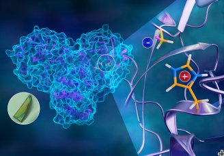 Neutrons chart atomic map of COVID-19's viral replication mechanism