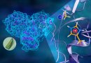 Neutrons chart atomic map of COVID-19's viral replication mechanism