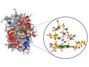 Freeze-frame of an enzyme