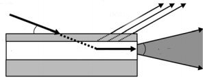 Polarized Neutron Microbeam