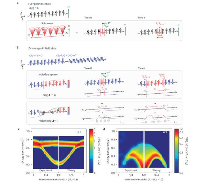 Quantum nature of magnetism