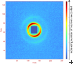 SANS Data from STEPAN's experiments