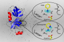 Neutrons make hydrogen atoms visible