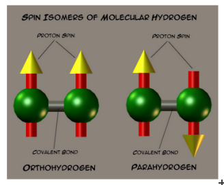 Watching hydrogen flip its spin