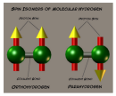 Watching hydrogen flip its spin