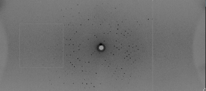 X-2 L110F diffraction data