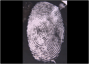 New fluorescent fingerprint tag aims to increase IDs from ‘hidden’ fingerprints on bullets and knives