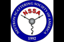 Call for Nominations for the NSSA Prizes and Fellows