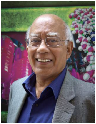 Prof Sunil K. Sinha
