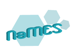 NaMES logo