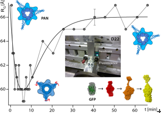 Catching a glimpse at enzymes on the job