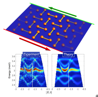 Evidence of topological excitations in a quantum magnet