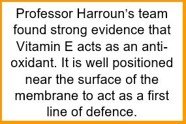 vitamin e text vitamin e text