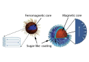 Neutrons Aid the Development of Cancer-Killing Nanoparticles