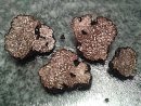 Bad times for truffle counterfeiters: Neutrons detect trace elements in popular edible mushrooms