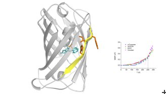 Investigating cyan flurorescent proteins for biomaging with neutron experiments 