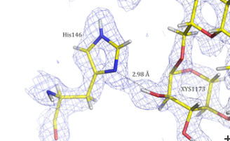Neutrons used in visualization of protein residues