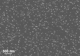 Very light dispersion of TaC particles in the microstructure